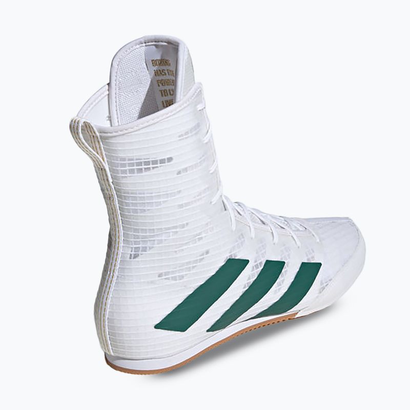 Bokso bateliai adidas Box Hog 4 cloud white/collegiate green/core black 2