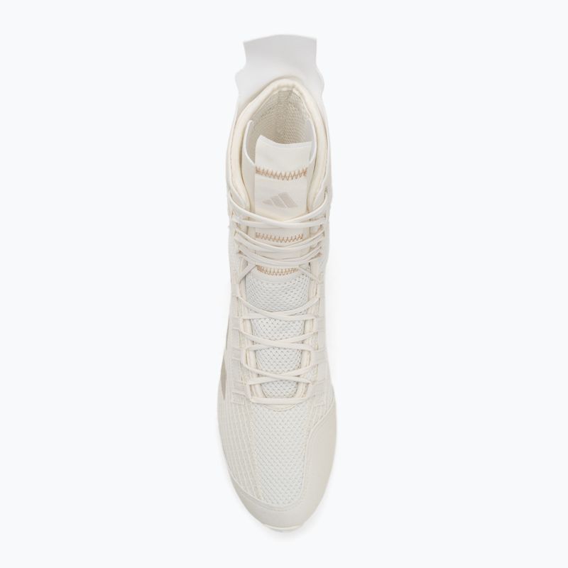 Bokso bateliai adidas Speedex 23 off white/beige/warm sandstone 5