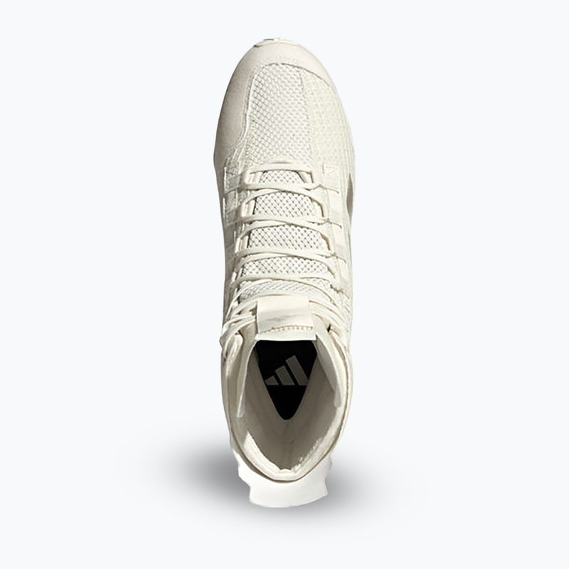 Bokso bateliai adidas Speedex 23 off white/beige/warm sandstone 7