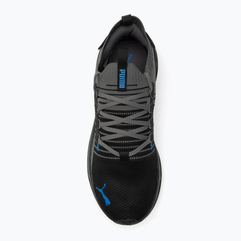 Bėgimo batai PUMA Softride Symmetry Fuzion puma black/cool dark gray/puma team royal 5
