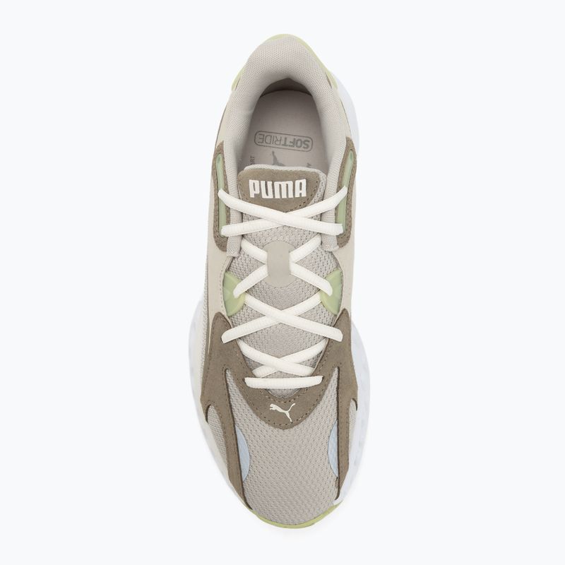 Bėgimo batai PUMA Softride Frequence pistachio green/velvet moss/warm white 5