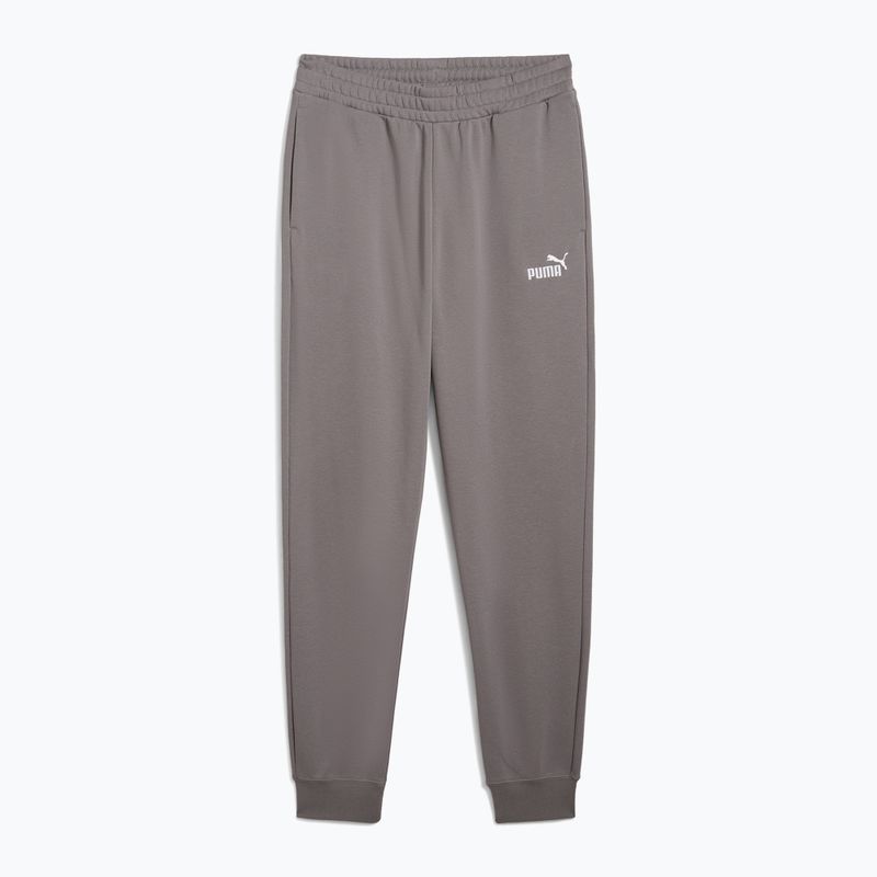 Vyriški šortai PUMA ESS No. 1 Logo Sweatpants TR CL cast iron
