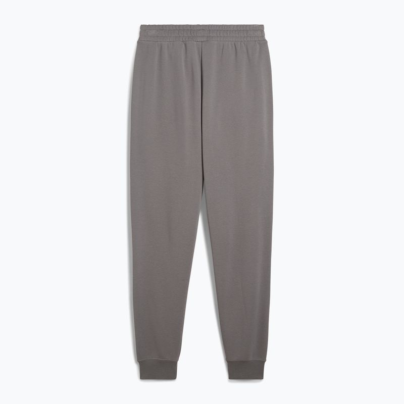 Vyriški šortai PUMA ESS No. 1 Logo Sweatpants TR CL cast iron 2