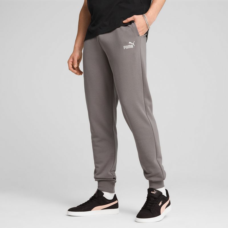 Vyriški šortai PUMA ESS No. 1 Logo Sweatpants TR CL cast iron 4