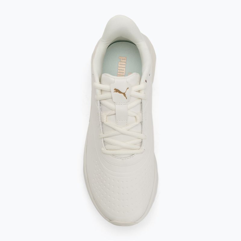 Moteriški bėgimo batai PUMA X-Cell Nova CAT SL warm white/puma gold 5