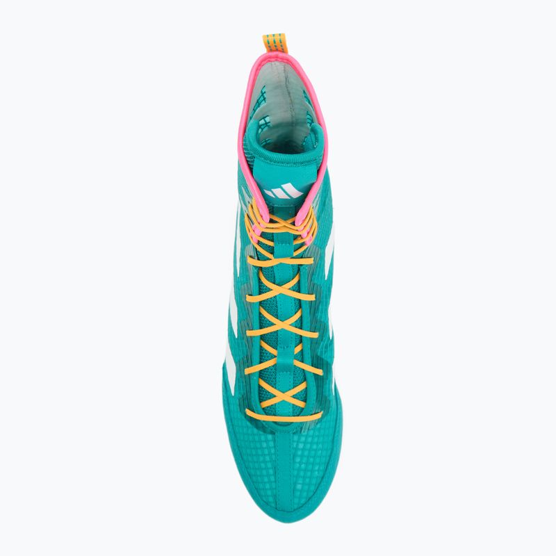 Bokso bateliai adidas Box Hog 4 turquoise 5