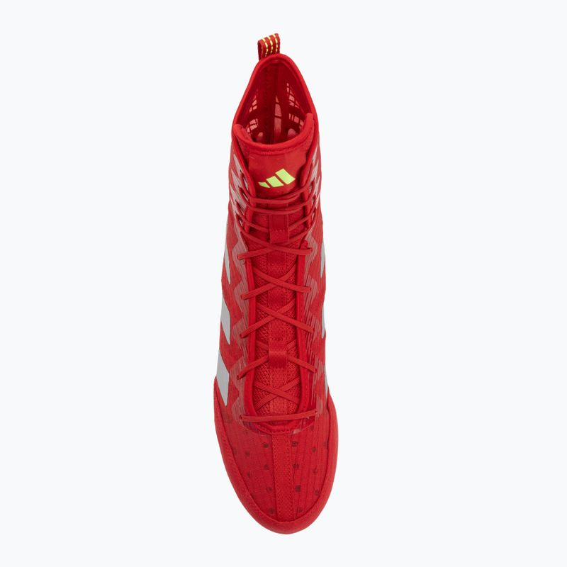 Bokso bateliai adidas Box Hog 4 red 5