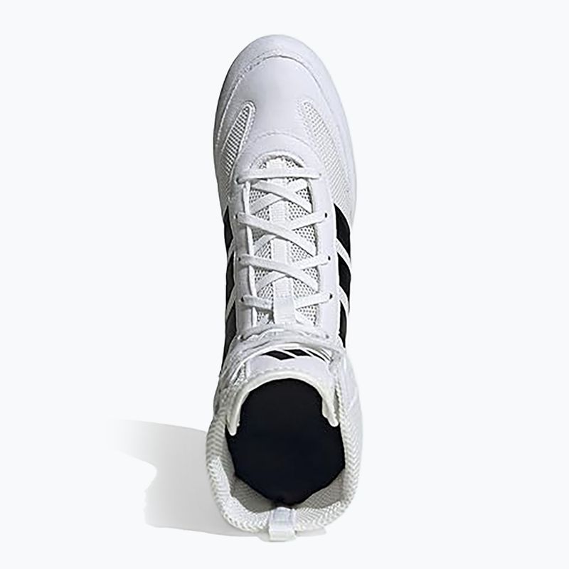 Bokso bateliai adidas Box Hog Classic white 5