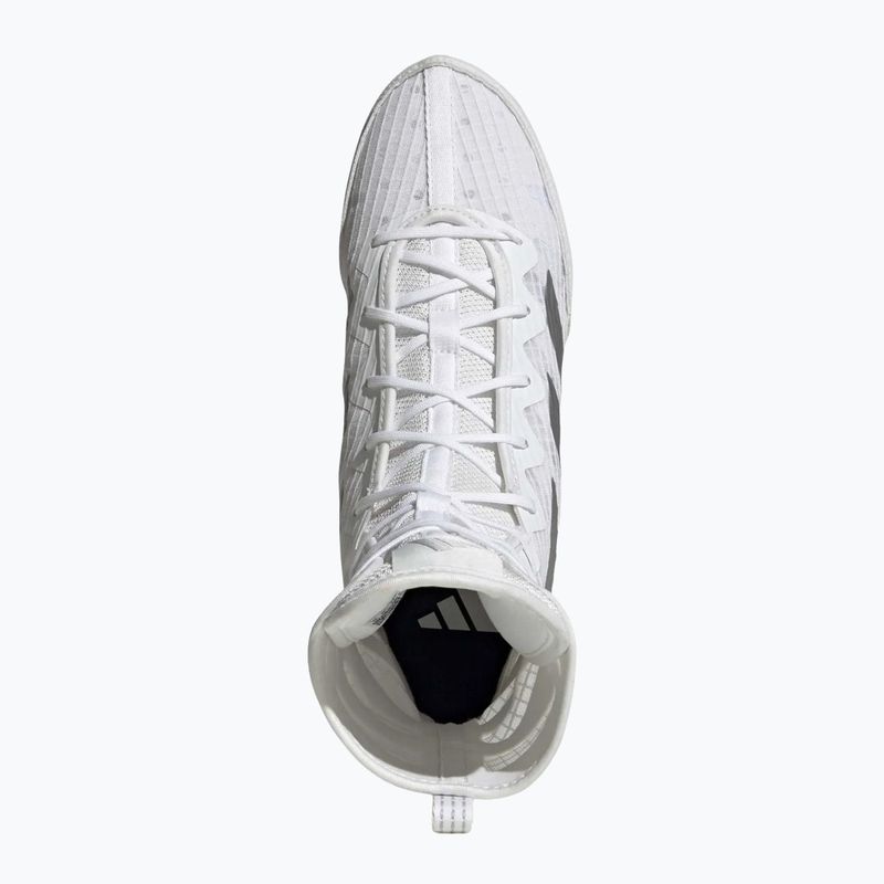 Bokso bateliai adidas Box Hog 4 white/silver 5