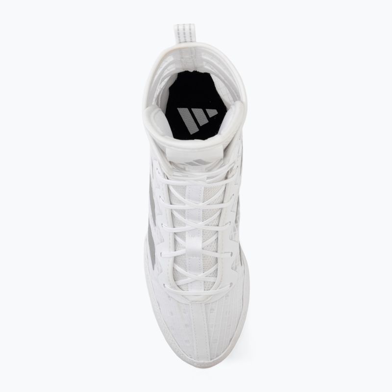 Bokso bateliai adidas Box Hog 4 white/silver 5