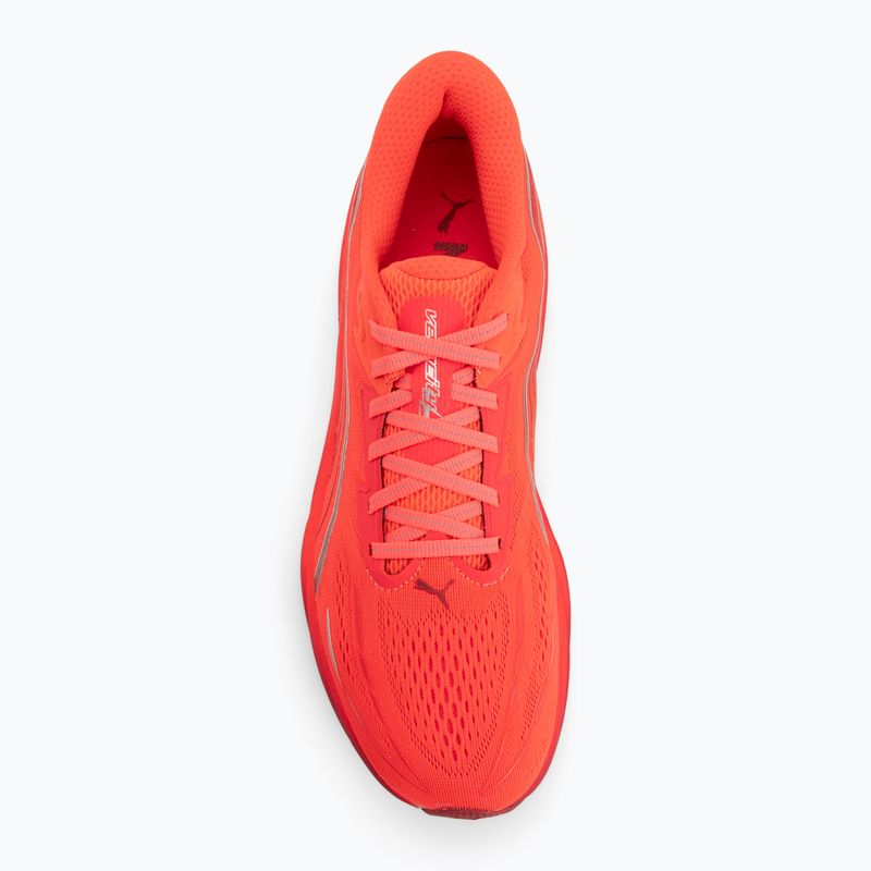 Vyriški bėgimo batai Puma Velocity Nitro 5 ultra red/red rhythm 5