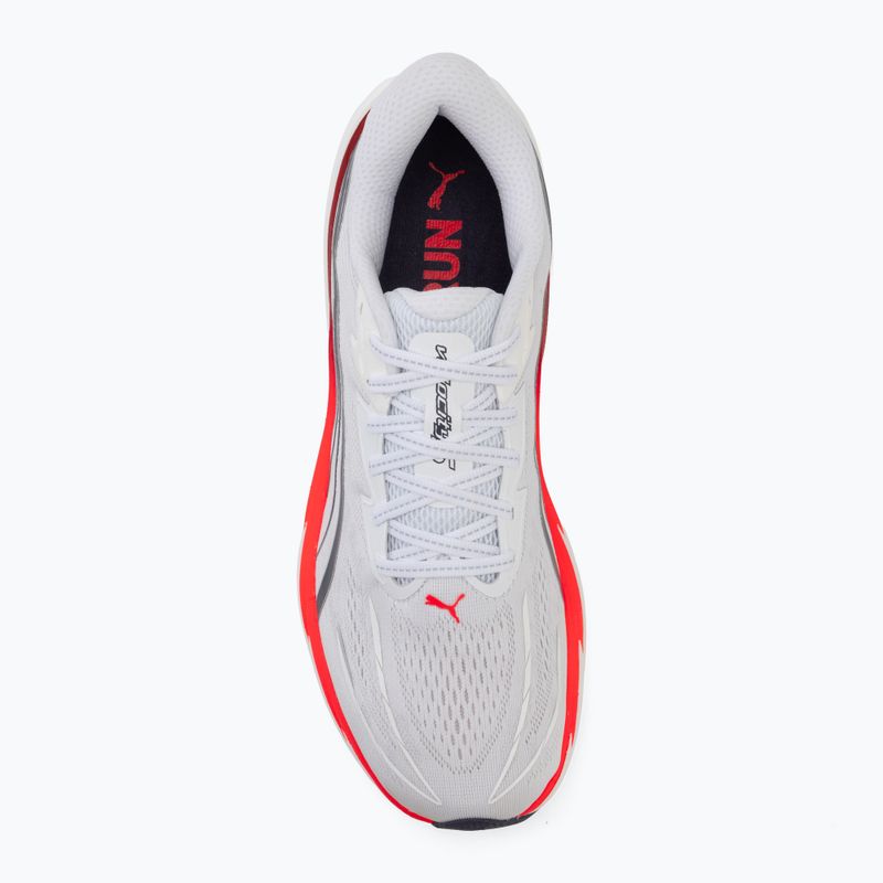Vyriški bėgimo batai Puma Velocity Nitro 5 puma white/ultra red 5