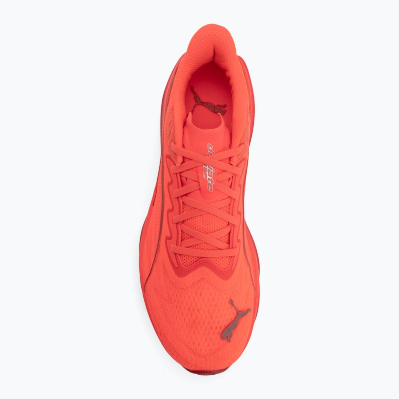 Vyriški bėgimo batai Puma Deviate Pure Nitro ultra red/red rhythm 5