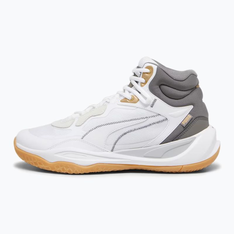 Vyriški krepšinio bateliai PUMA Playmaker Pro Mid Trophies ash grey/cast iron/puma gold 7
