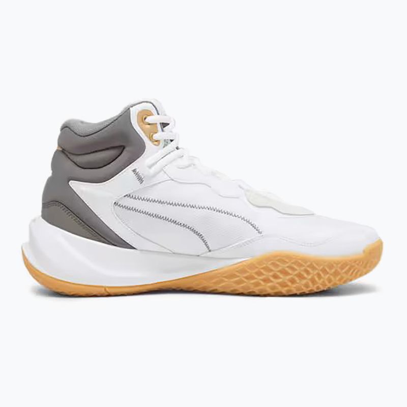 Vyriški krepšinio bateliai PUMA Playmaker Pro Mid Trophies ash grey/cast iron/puma gold 9