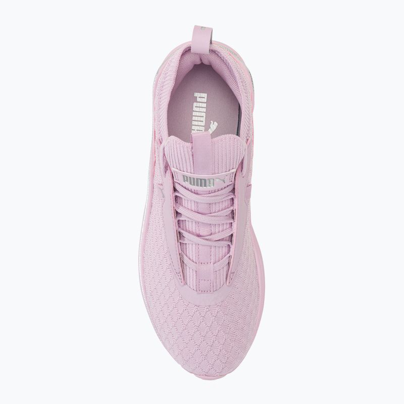 Moteriški bėgimo bateliai PUMA Softride Stakd Premiums purple 5