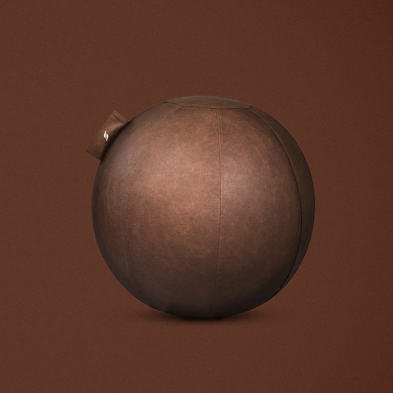 Gimnastikos kamuolys STRYVE Active Ball 65 cm natural brown 11