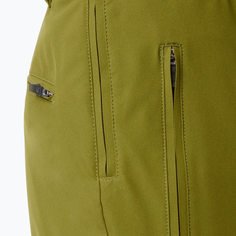 Vyriškos slidinėjimo kelnės Descente Roscoe olive green 8
