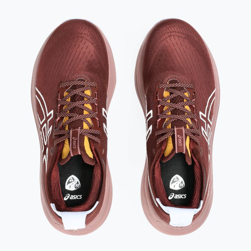 Moteriški bėgimo batai Asics Gel-Nimbus 27 TR nature bathing/dark red planet 13