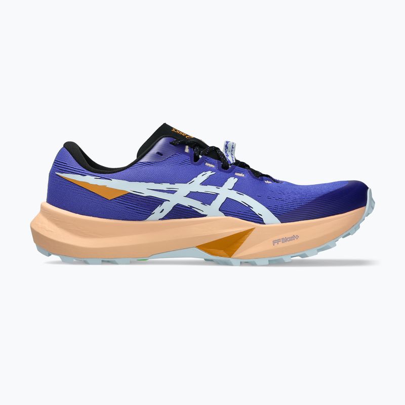 Vyriški bėgimo bateliai ASICS Fuji Lite 6 cobalt burst/cool grey 8