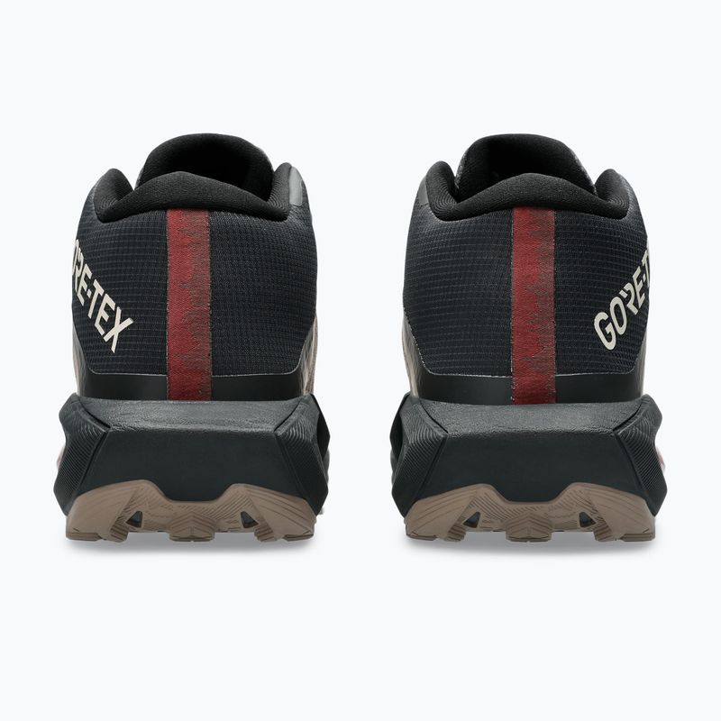 Vyriški bėgimo batai Asics Gel-Trabuco Mt Gtx taupe grey/graphite grey 6