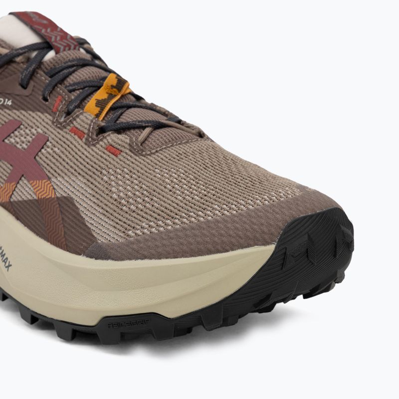 Vyriški bėgimo batai Asics Trabuco 14 Gtx taupe grey/oatmeal 7