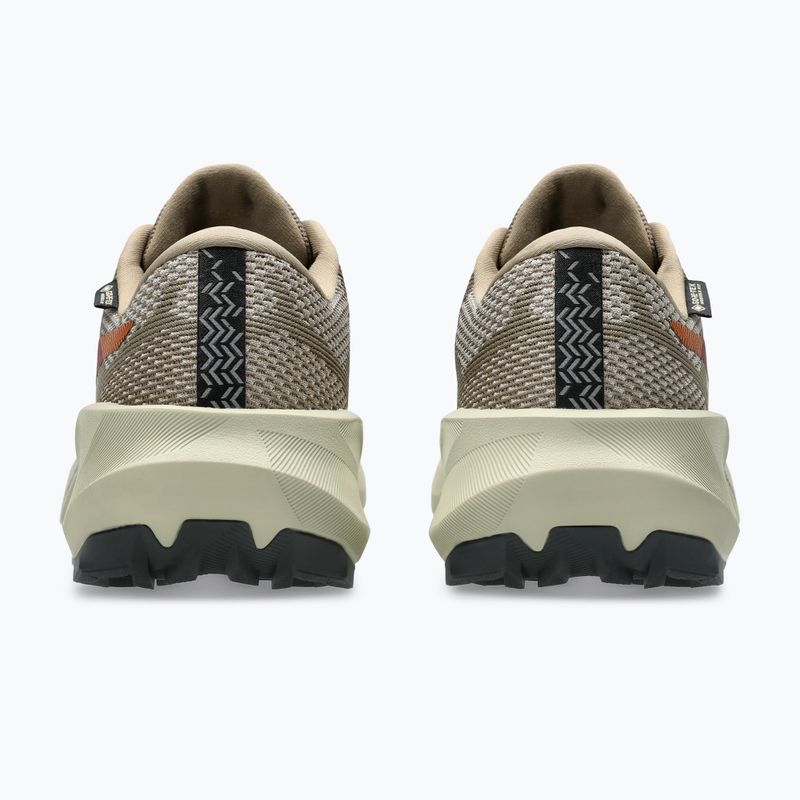 Vyriški bėgimo batai Asics Trabuco 14 Gtx taupe grey/oatmeal 6