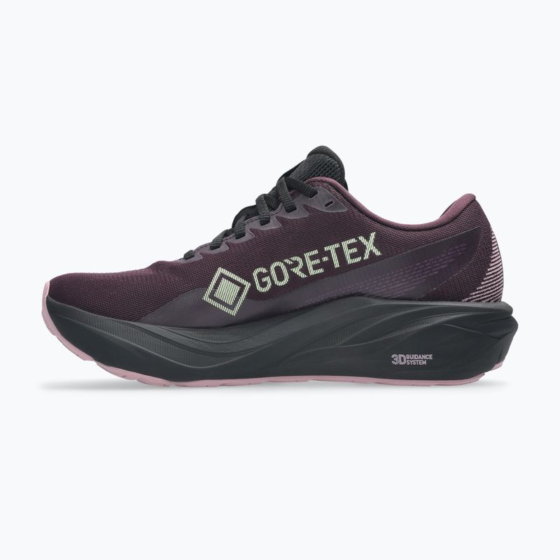 Moteriški bėgimo bateliai ASICS GT-2000 15 GTX tamsiai baklažano/juodos spalvos 2