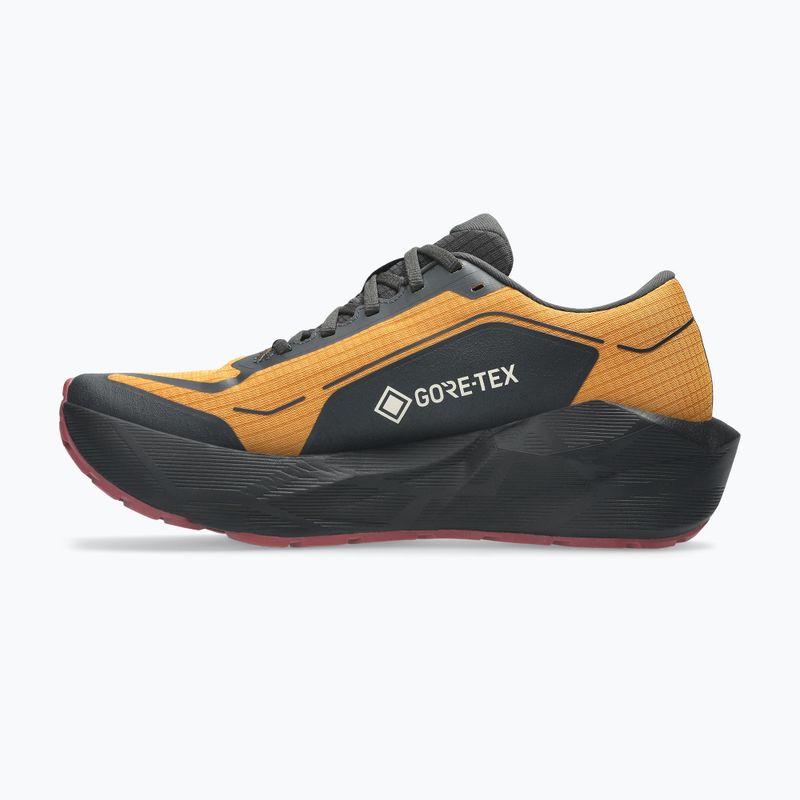 Vyriški bėgimo batai ASICS Novablast 6 GTX sandstorm/black 3