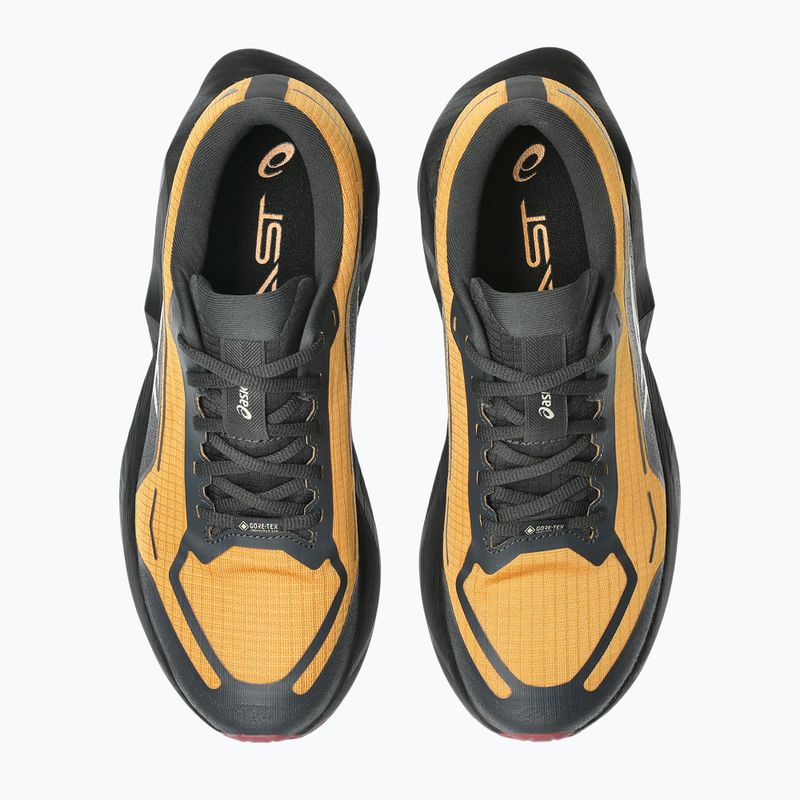 Vyriški bėgimo batai ASICS Novablast 6 GTX sandstorm/black 6