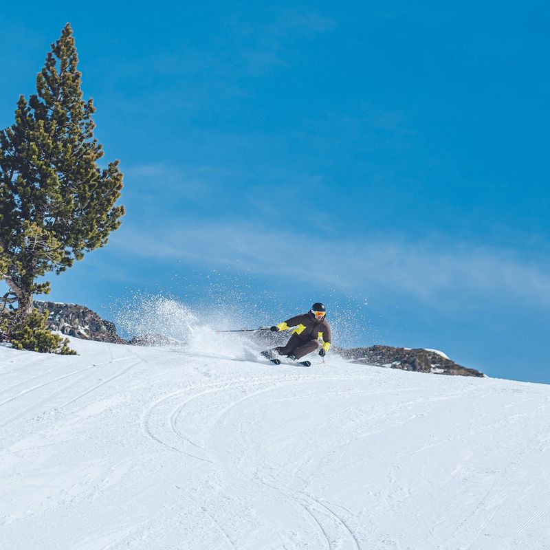 Vyriška slidinėjimo striukė Descente Hybrid Rip Down giant yellow 16