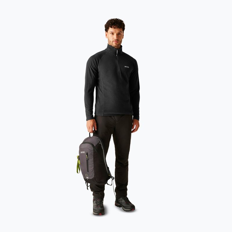 Vyriškas džemperis REGATTA Montes ash 2