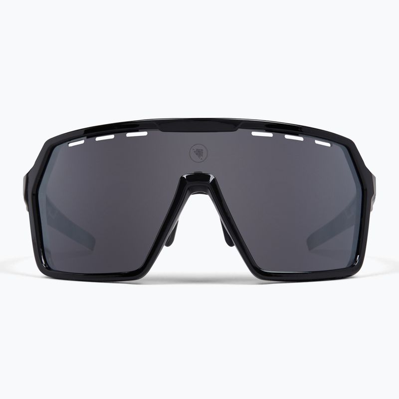 Akiniai nuo saulės Endura Singletrack black/platinum revo smoke/clear silver flash mirror