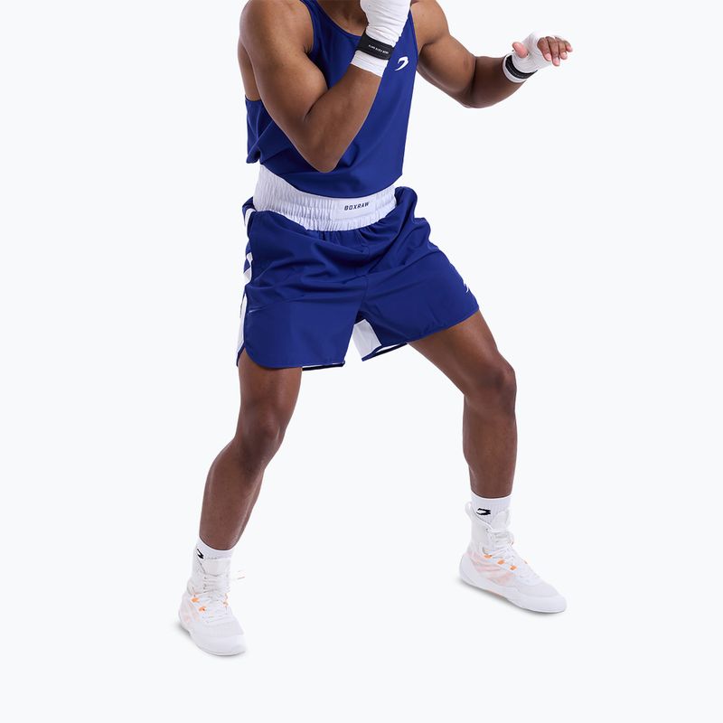Vyriški treniruočių šortai Boxraw Stevenson V2 blue/white 5