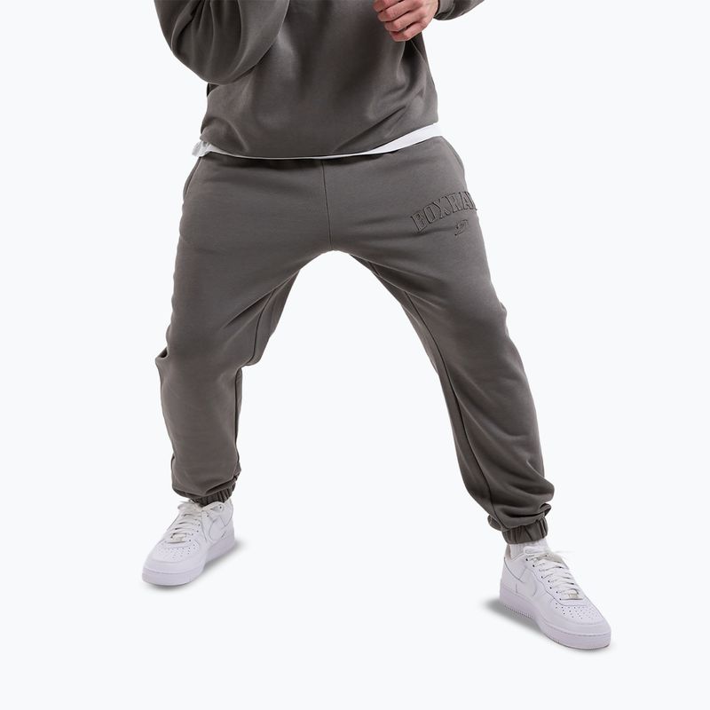 Vyriškos kelnės Boxraw East Street Bottoms distressed grey 4