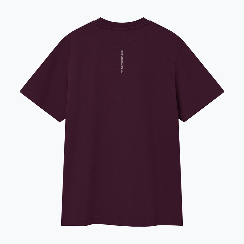 Dviračių marškinėliai Endura Pedal Power Graphic Tee sage green 2