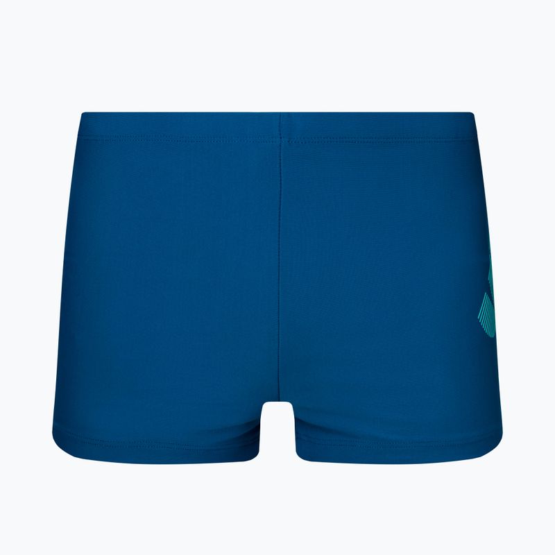 Vyriški Nike Tilt Logo Aquashort maudymosi bokseriai mėlyni NESSA010-400