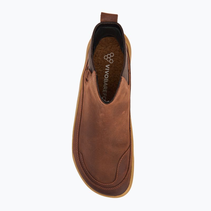 Moteriški batai barefoot Vivobarefoot Gobi Chelsea cinnamon 5