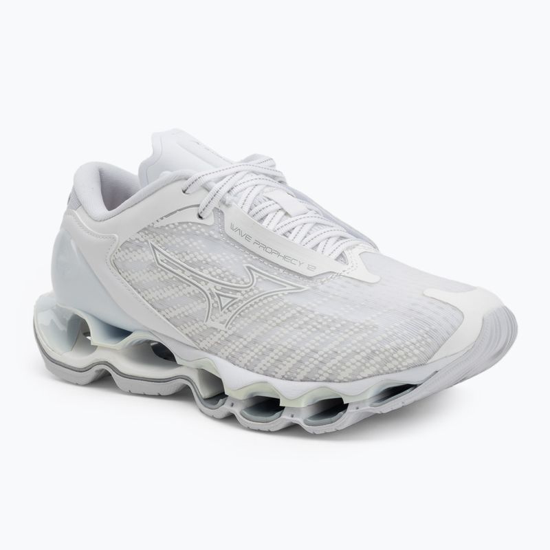 Moteriški bėgimo bateliai Mizuno Wave Prophecy 12 white/silver