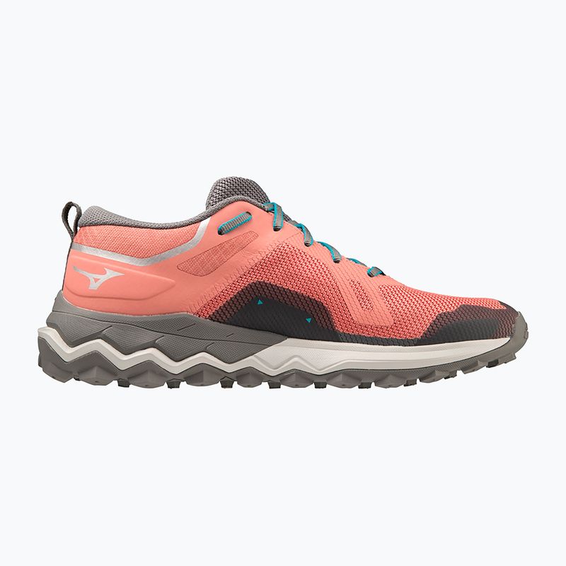 Moteriški bėgimo bateliai Mizuno Wave Ibuki 4 GTX lantana/quiet shade/buebird 11