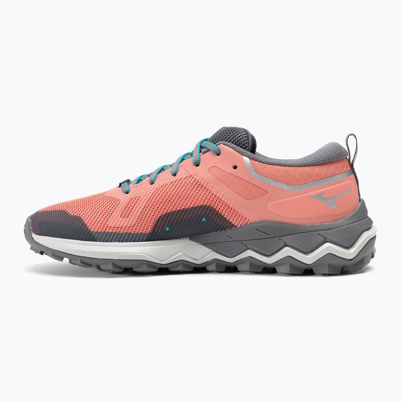 Moteriški bėgimo bateliai Mizuno Wave Ibuki 4 GTX lantana/quiet shade/buebird 10