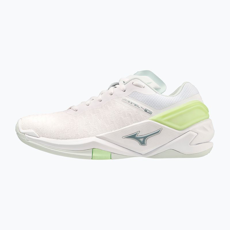 Moteriški rankinio bateliai Mizuno Wave Stealth Neo