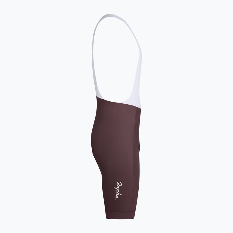 Vyriški dviračių šortai Rapha Core Bib Shorts huckleberry / white 4