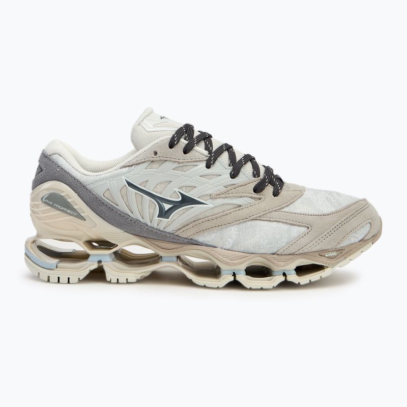 Mizuno Wave Prophecy LS nimbus cloud/magnet/silver cloud batai 2