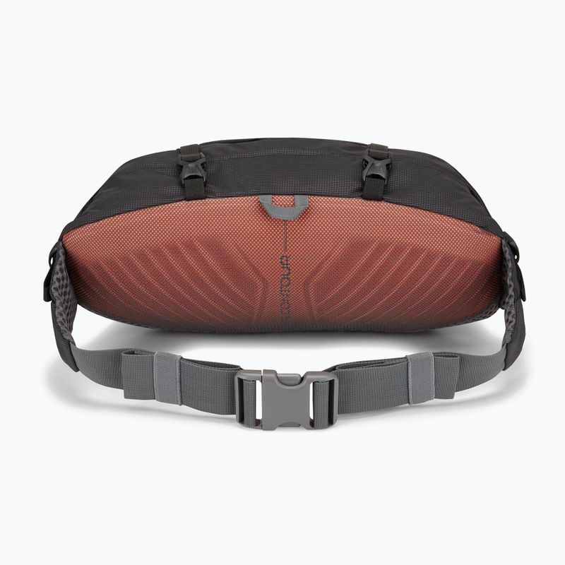Rankinė ant juosmens Lowe Alpine Mesa 6 black 2