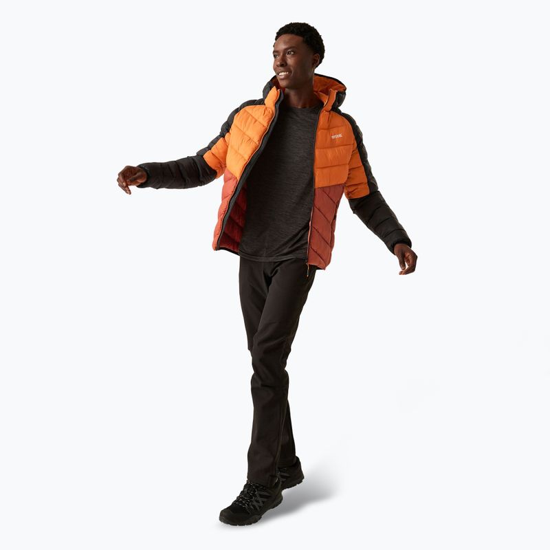 Vyriška pūsta striukė REGATTA Hooded Dalent fox/red ochre 2