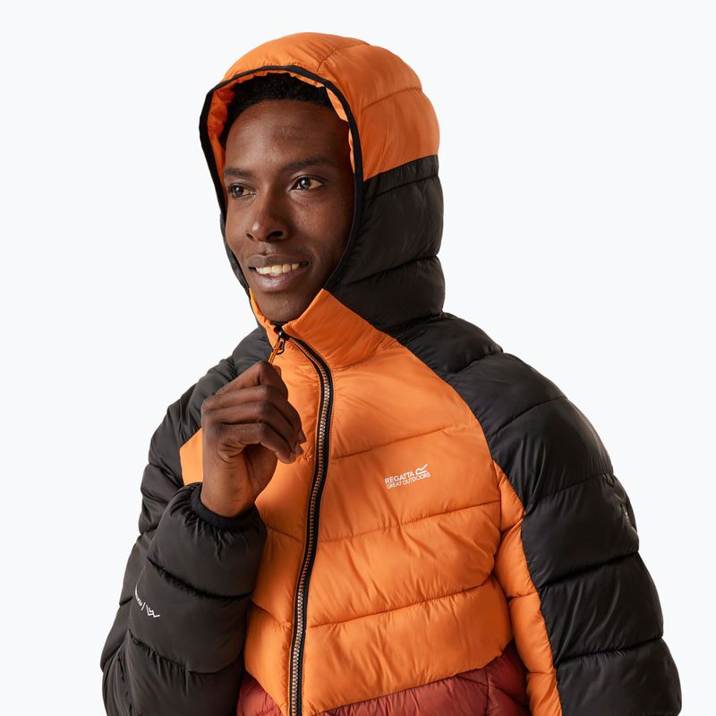 Vyriška pūsta striukė REGATTA Hooded Dalent fox/red ochre 4
