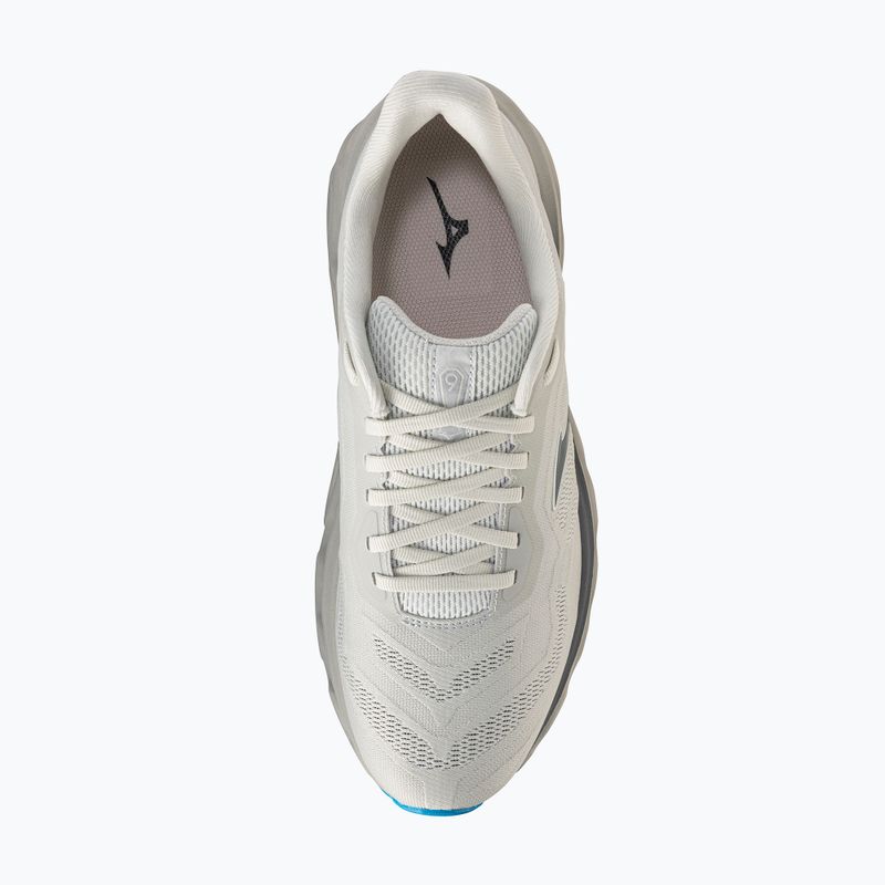 Vyriški bėgimo batai Mizuno Wave Horizon 9 foggy dew/dark slate/blue jewel 5