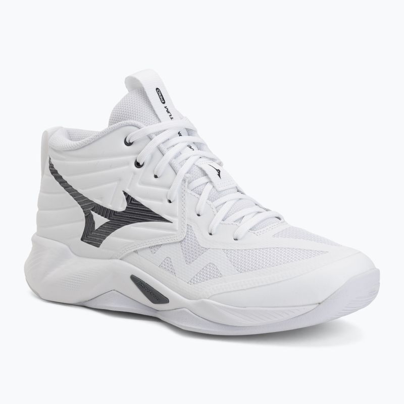 Tinklinio bateliai Mizuno Wave Momentum Pro Mid white/metallic gray/black