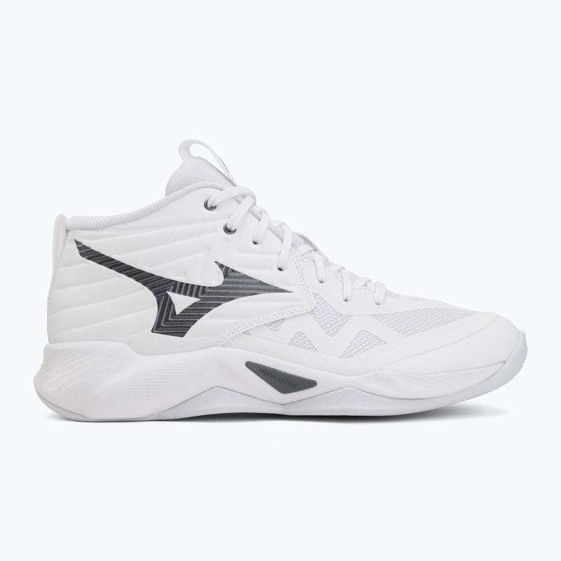 Tinklinio bateliai Mizuno Wave Momentum Pro Mid white/metallic gray/black 2